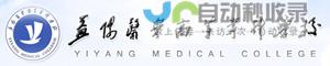 益阳专业网站建设服务：从需求分析到上线运营，助您在互联网时代脱颖而出